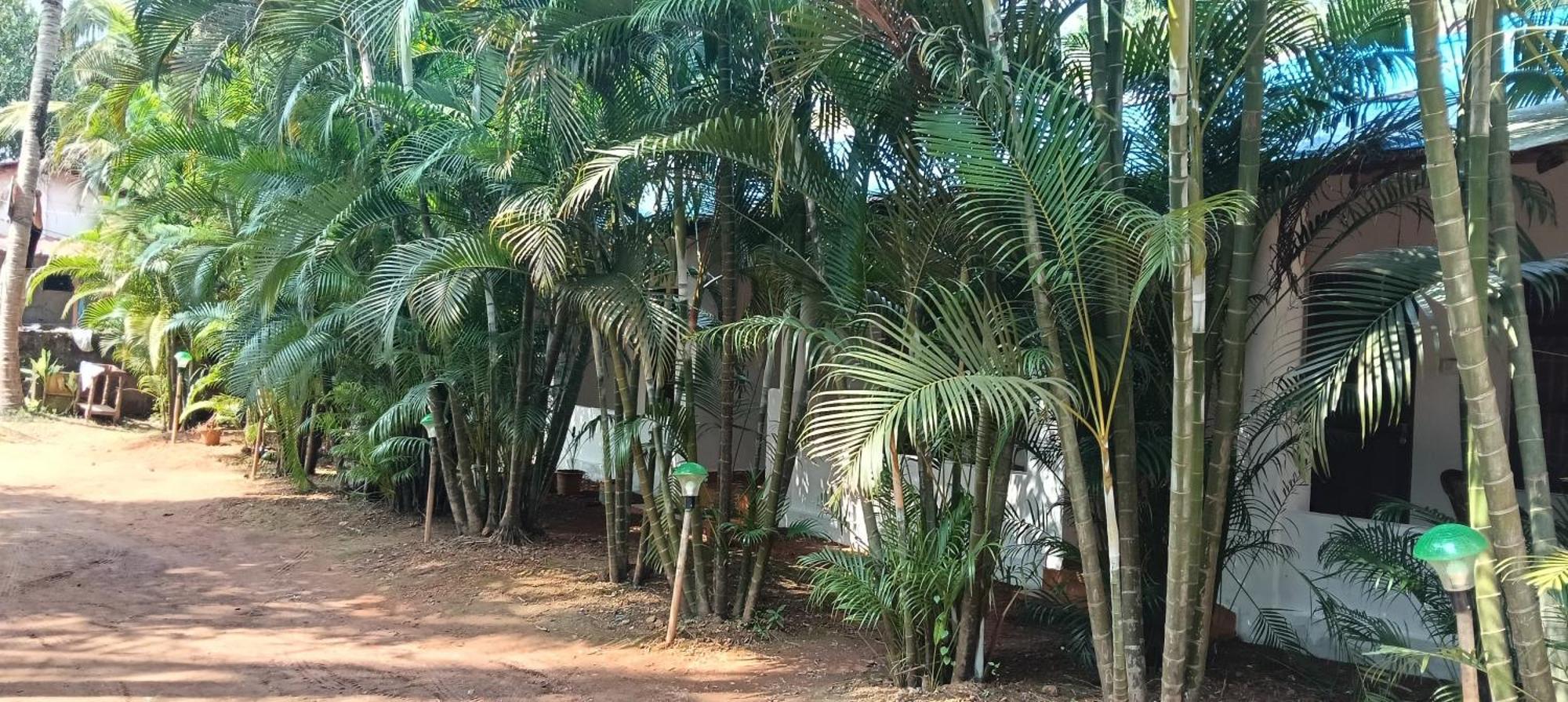Casa Beach Hut Resort Palolem Eksteriør bilde