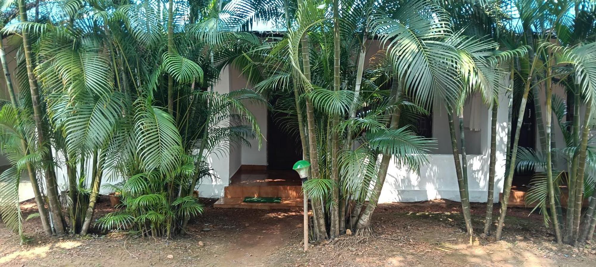 Casa Beach Hut Resort Palolem Eksteriør bilde